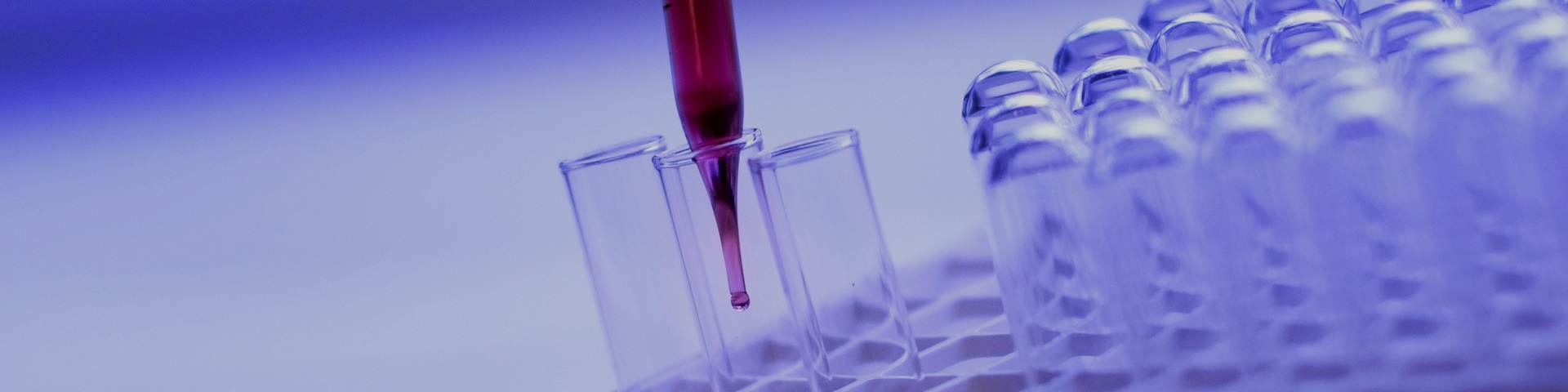 Stem Cell Research Conducted without Funds from Catholic Investment Portfolio